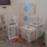 08c2ef03-8e80-4664-8975-4cd2a2b0d3a3